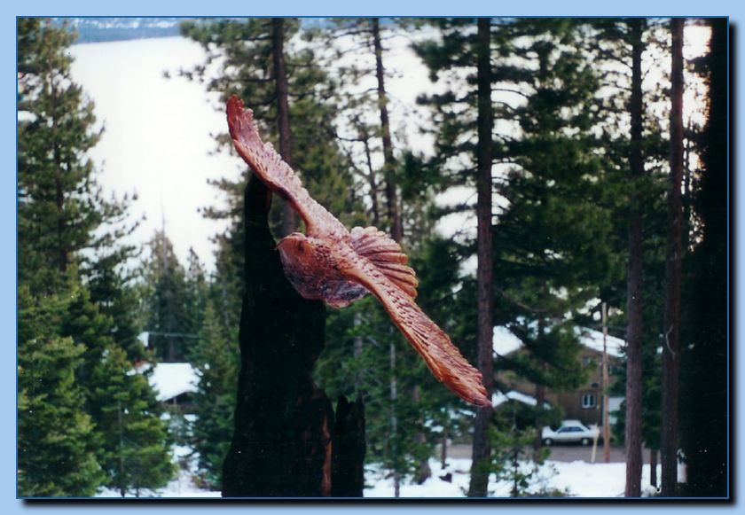 2-03 eagle with wings out, attached -archive-0005